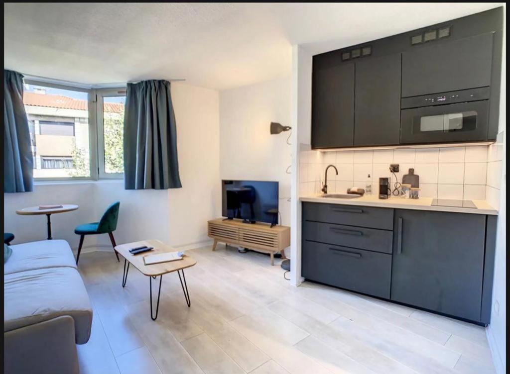 Apartment Contemporain Avec Piscine Proche De La Cannes