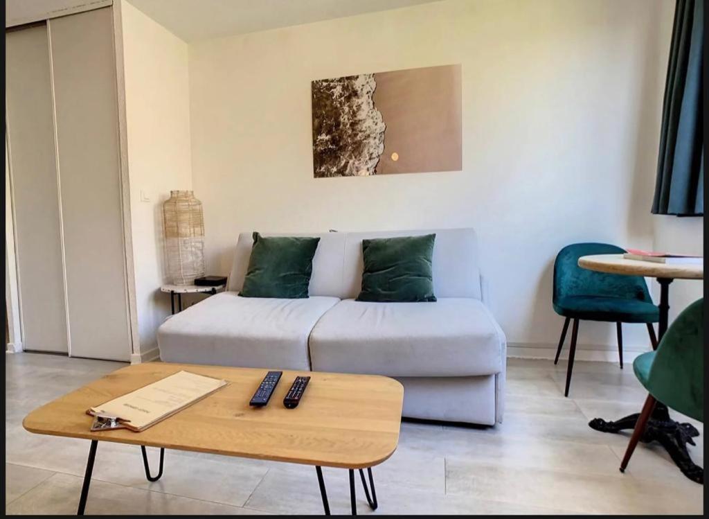 Apartment Contemporain Avec Piscine Proche De La *